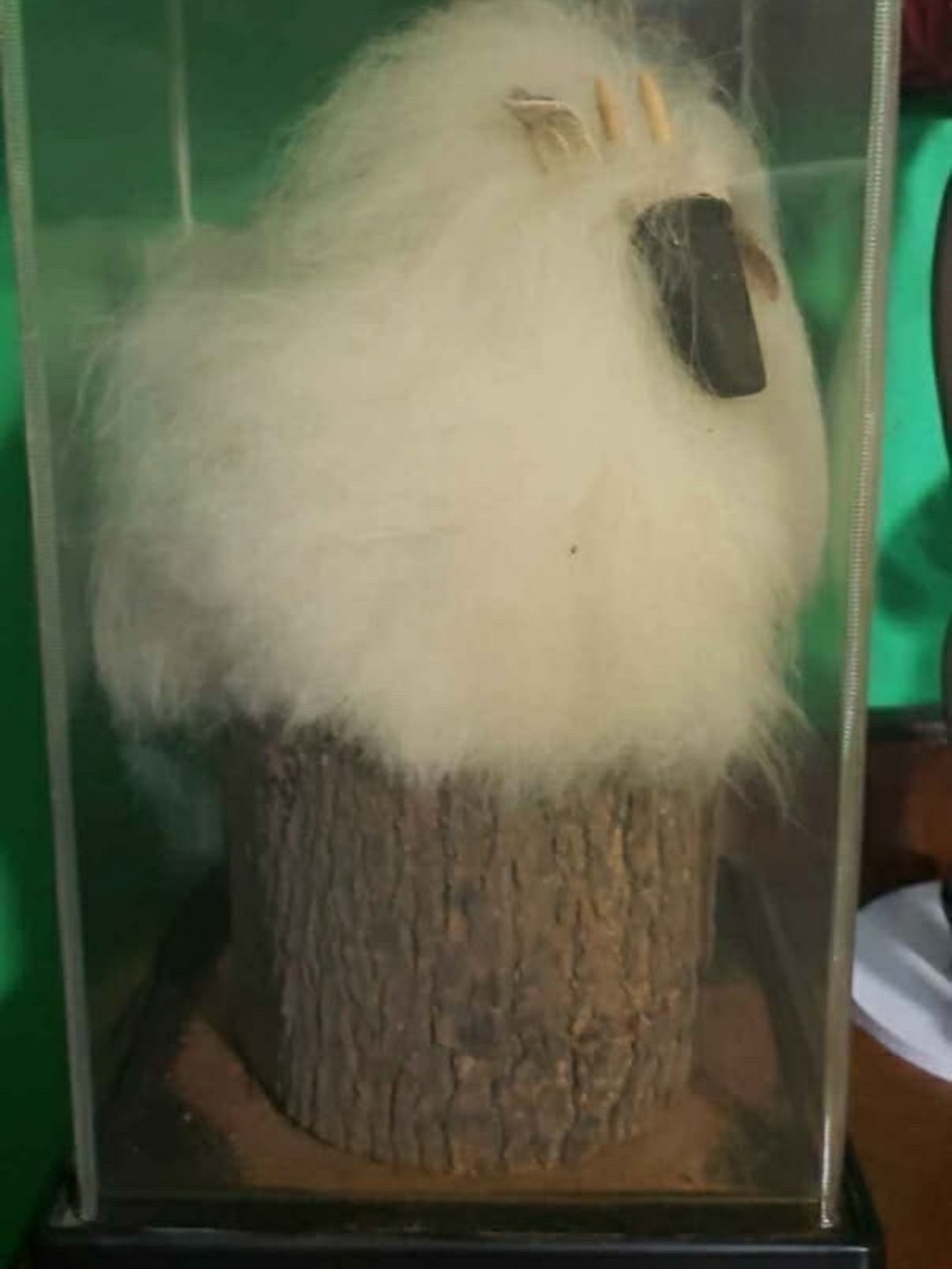 Authentic Native American Handmade Fluffy White Decorative Sheep Figure W Case